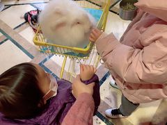 -猫色咖啡·猫咖
