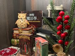 -雪灵魔法世界SHELLY’S TAROT(大良桂畔里店)