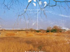 -良渚古城遗址公园