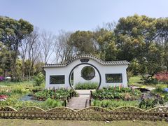 -上海共青森林公园