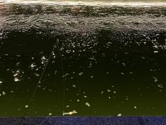 -DGE季风钓虾营地·团建·聚会