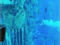 -亚特兰蒂斯•OSSIANO奥西亚诺海底餐厅
