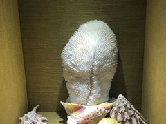 -开海·红岛海鲜虾水饺(石老人店)