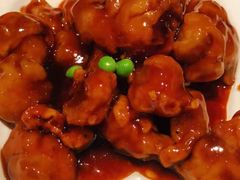 糖醋里脊-老头儿油爆虾(星光一期店)