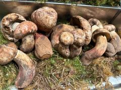 -一坐一忘云南菜(卓悦中心)