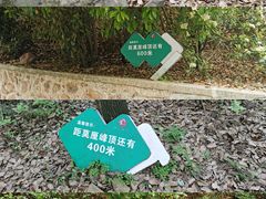 -雨花胜境