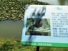 -宝岛公园