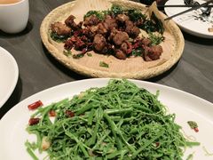 -滇铺子·云南特色菜·第九届野生菌美食节(曲靖万达店)