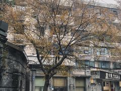 -老街无刺鲫鱼