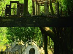 -美丽南方·老木棉匠园·团建烧烤·烤全羊