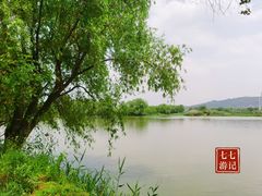 -长兴太湖图影湿地文化园