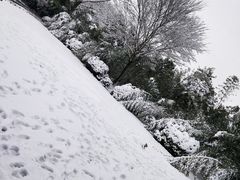 -春兰国宾馆(凤城河风景区老街店)