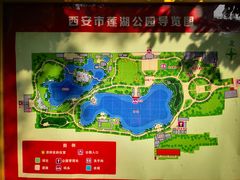 -莲湖公园