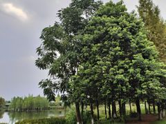 -白鹭湾湿地公园