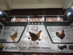 -飞来湖湿地公园
