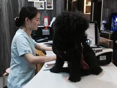 -严国平动物医院(德政总院)