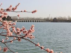 -颐和园