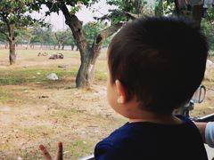 -西安秦岭野生动物园