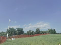 -羊亭河湿地公园