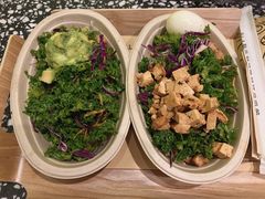 -油梨树AVOCADO TREE(顺义新国展店)