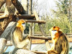 -济南野生动物世界