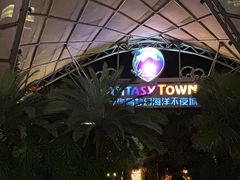 -三亚海昌梦幻海洋不夜城