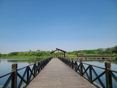 -溱湖国家湿地公园