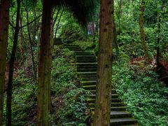 -钟鼎寺