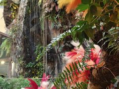 -正佳雨林生态植物园