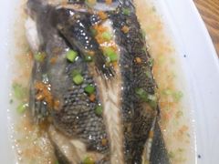 -船歌·鱼水饺青岛菜(金狮广场店)