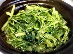 -老东风菜馆·羊肉火锅·海鲜·砂锅粥