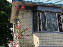 -中山纪念堂