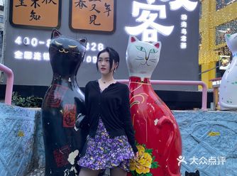 上次来猫街还是大二，那个时候就觉得猫街虽然只有几个小