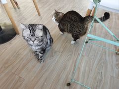 -小时光咖啡馆(北锣鼓巷店)