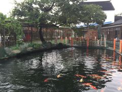 -湖鲜楼