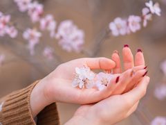 -桃花堤公园