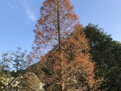 -贵阳市花溪国家城市湿地公园