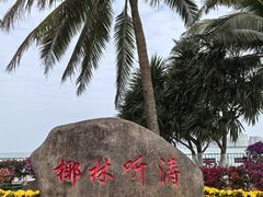 -万绿园