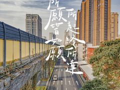 -溪岸路花鸟市场