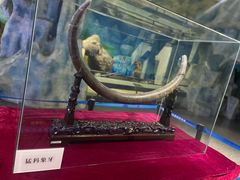 -中国第四纪冰川遗迹陈列馆