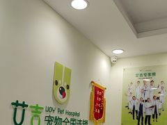 -艾吉宠物医院·疑难杂症转诊中心·猫友好(碧江路院)