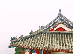 -北京鹫峰国家森林公园