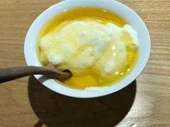 -古树酸奶(八廓南街店)