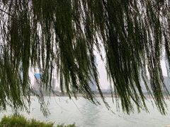 -橘子洲景区