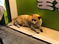 -郭爸烧仙草(西航·潭人街店)