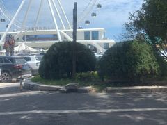 -南戴河国际娱乐中心