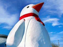 -哈尔滨热雪奇迹