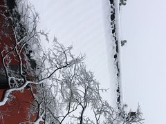 -武当山风景区