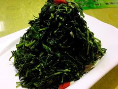 清香枸杞苗-国强手抓(北京西路店)