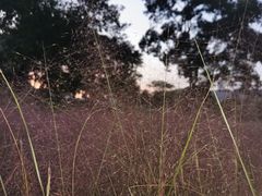 -钟山体育运动公园